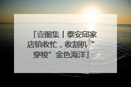 壹图集丨泰安邱家店镇收忙，收割机“穿梭”金色海洋